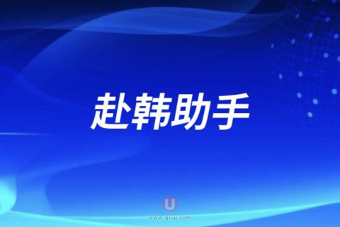 赴韩整形助手怎么样？靠不靠谱?