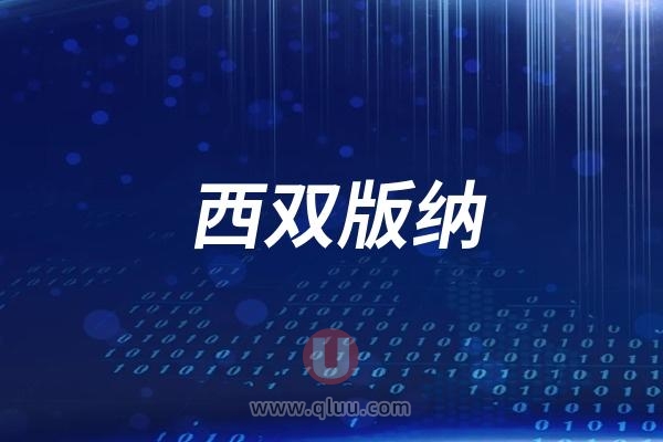 西双版纳口腔医院是公立还是民营私立？