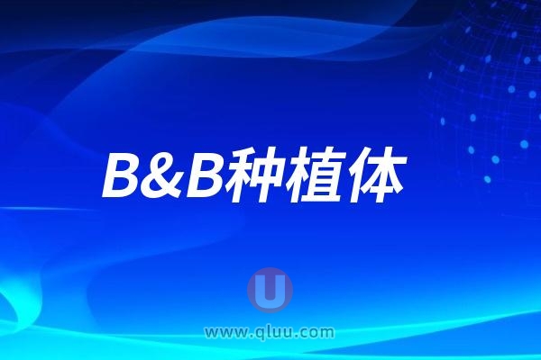 B&B种植体是哪个国家的？属于什么档次？质量怎么样？